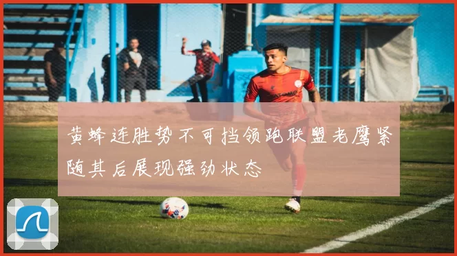 黄蜂连胜势不可挡领跑联盟老鹰紧随其后展现强劲状态