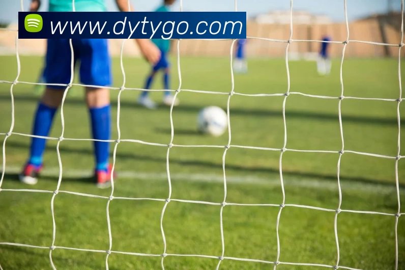 德赢体育平台生态图